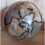 fossile3-2