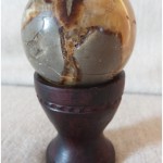fossile3-3